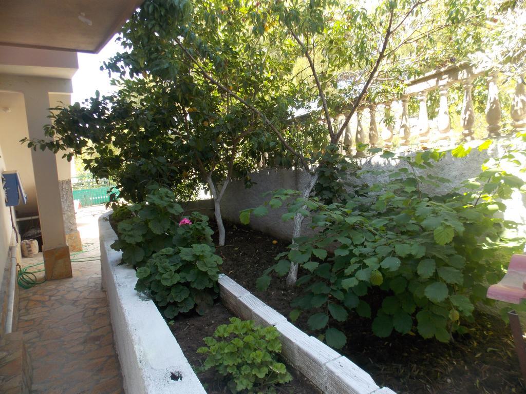 Guest House Vila Bega Sarande Luaran gambar